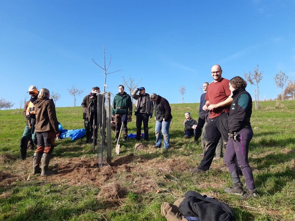 Obstbaumschnittkurs 1. Kurstermin