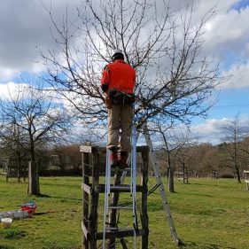 20260228_133141 20260228_133141