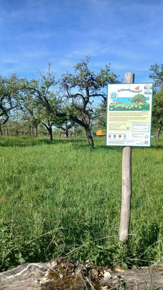 Mit einer Gruppe von Netzwerkakteuren haben wir zum Tag der Streuobstwiese 2026 zwei der 'ganz großen' in der Deutschen Streuobst Landschaft besuchen können. Unsere Eindrücke erfahren Sie hier!