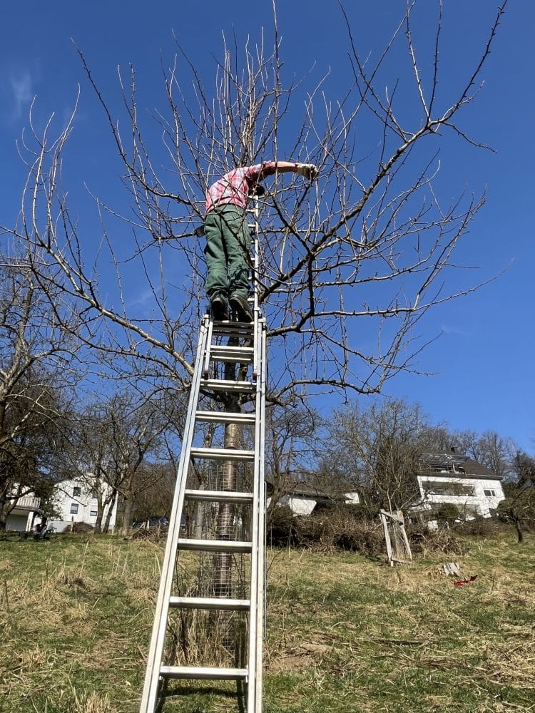 Obstbaumschnittkurs am letzten Februarwochenende an der VHS Overath. Kursleiter H. Brückner gibt den Teilnehmern einen breiten Überblick über Baumschnitt, Sortenwahl und Pflanzung.