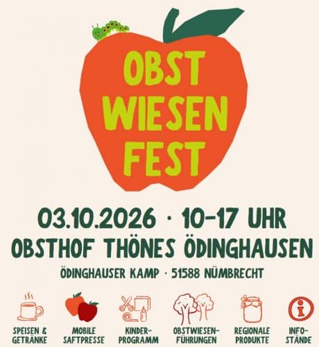 Bild Webseite