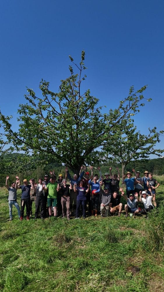 Die erste Gruppe der durch streuobstBERG geförderten Teilnehmer haben letzte Woche die Baumwartausbildung der Obstbaumschnittschule abgeschlossen.
