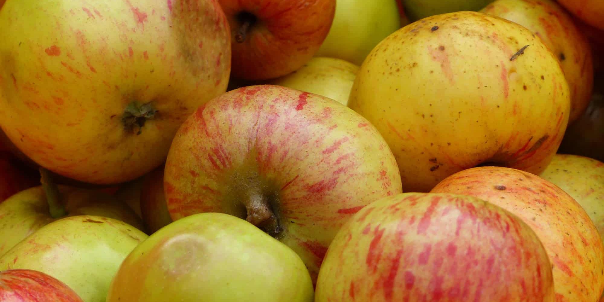 OSB-Minteraktiv_Streuobstsaft_18.10.2018_Fotorechte-BAK