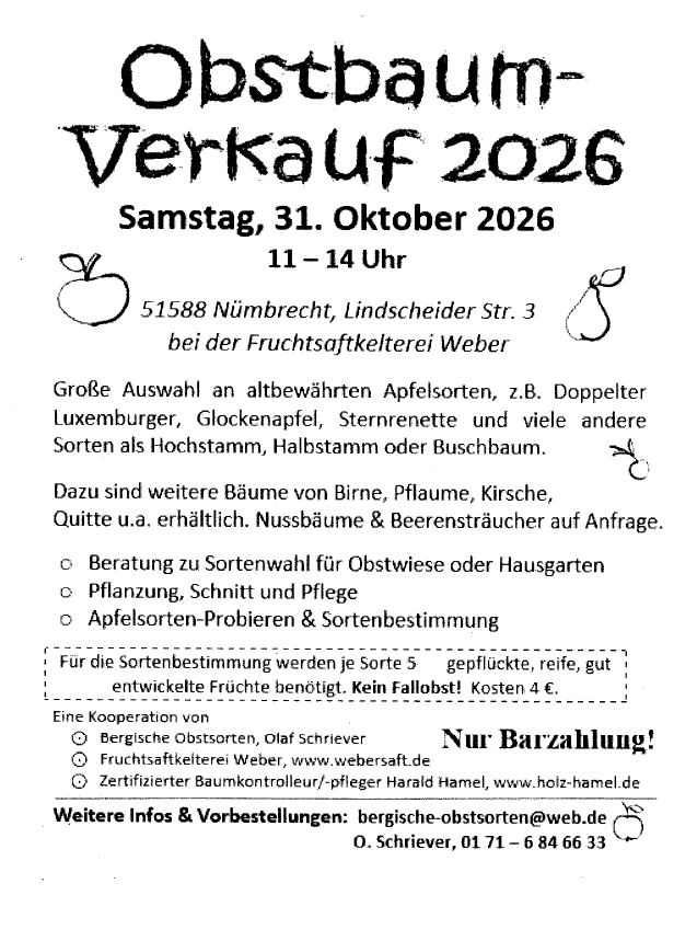 Obstbaumverkauf2