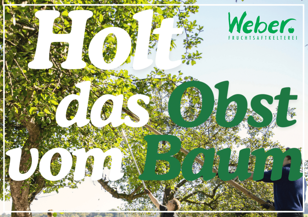Ab dem 12.09. können Sie Ihre Äpfel wieder zur Fruchtsaftkelterei Weber bringen. Auch dieses Jahr gibt es Preise für das meiste Obst!