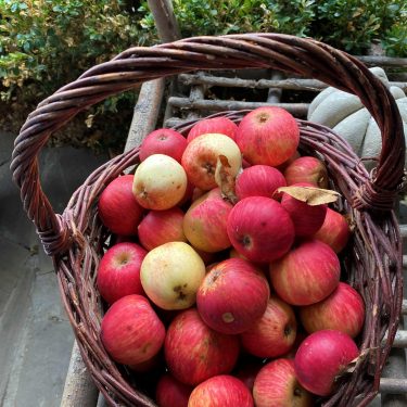Obstkorb © C. Wosnitza