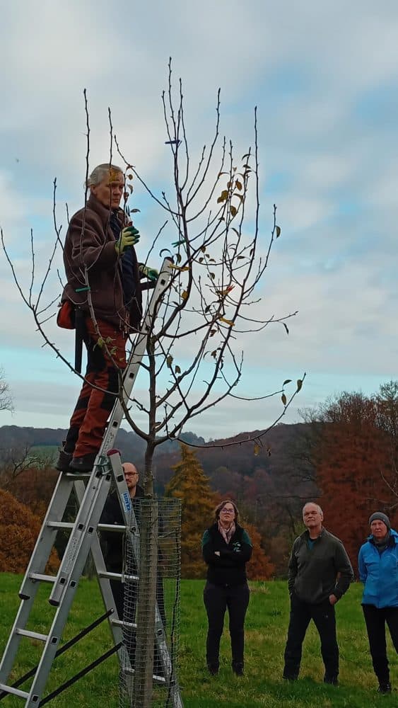 signal-2025-11-10-19-58-40-796-2