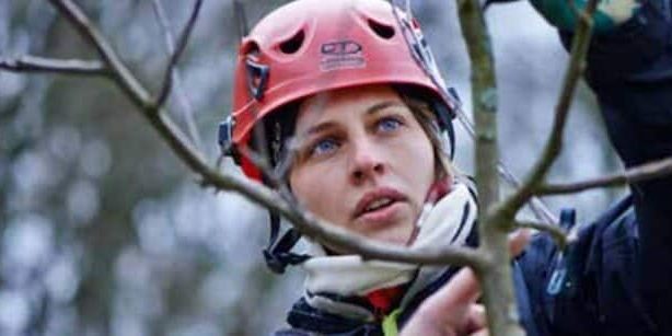 teaser-baumwart-1-768×307